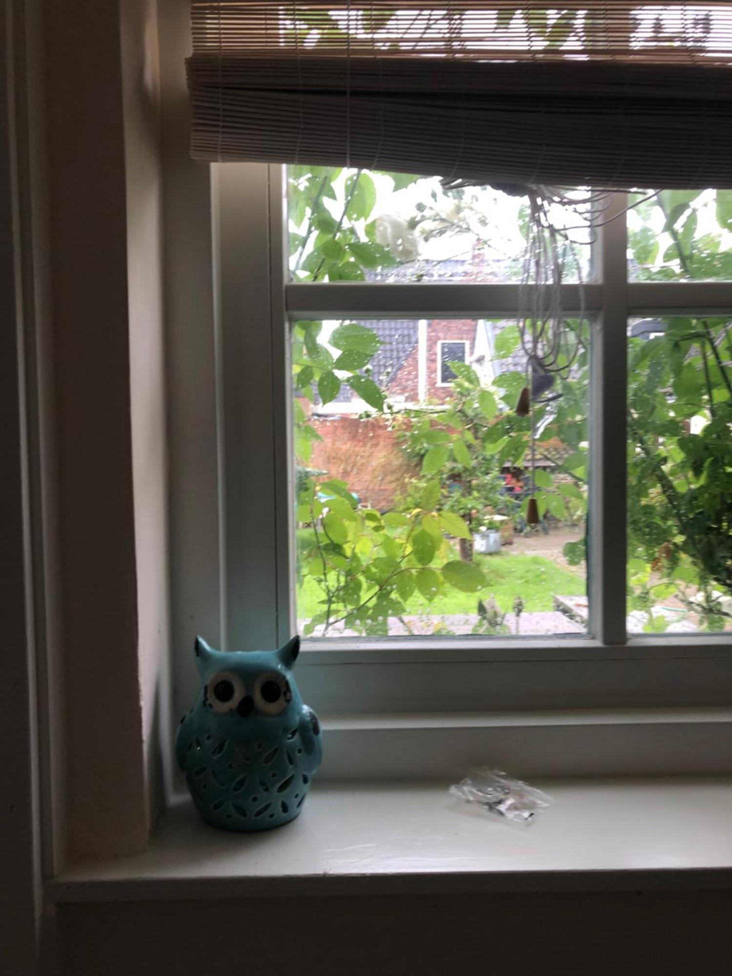 Appartement In Schuur Twisk Eksteriør billede