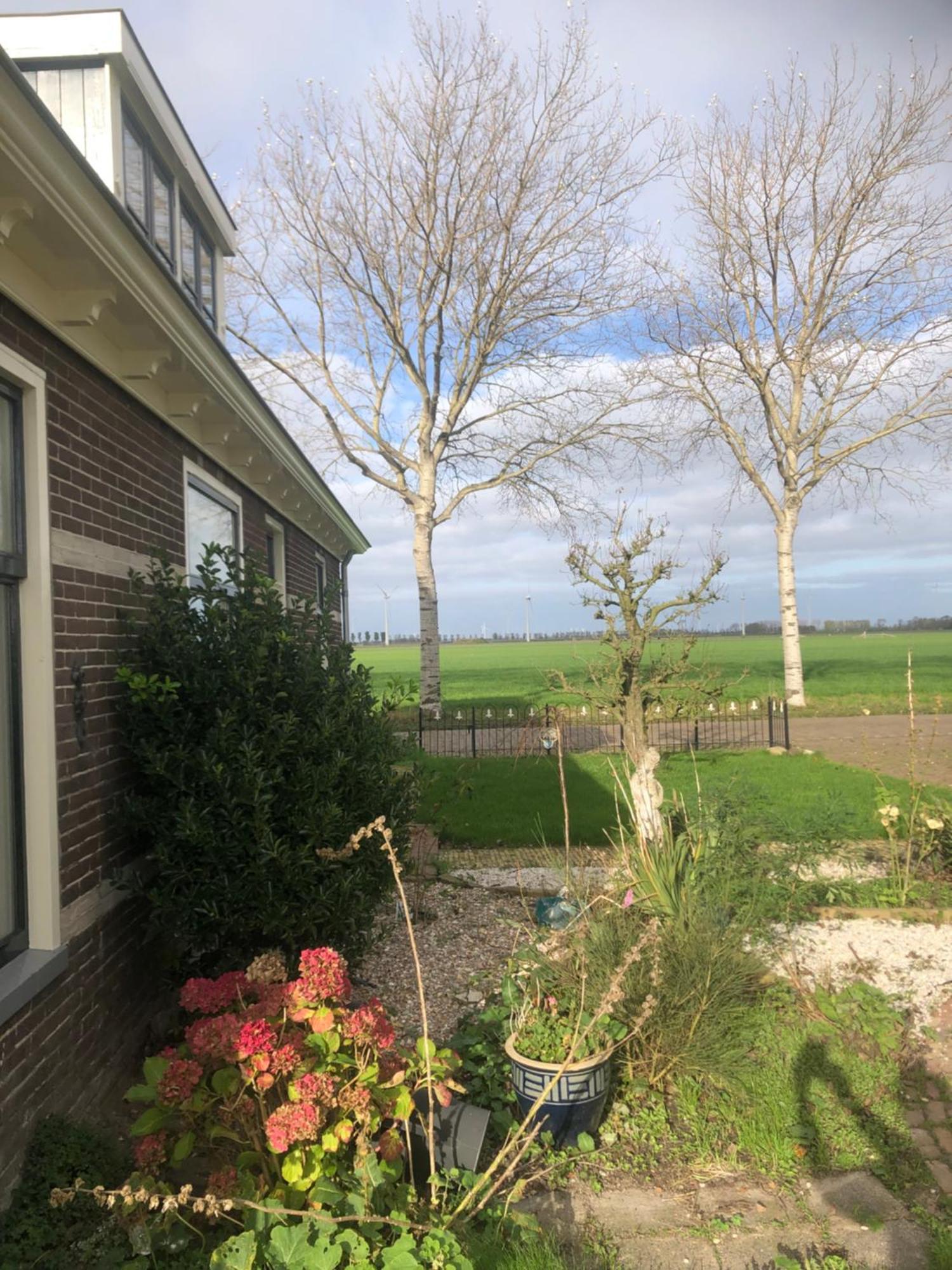 Appartement In Schuur Twisk Eksteriør billede